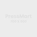 Brown Solid Leather Belt