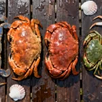 Five whole raw crabs of different species laid out on wet wood