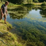 Pond Weed Control Begins With Knowing What Is Actually Growing